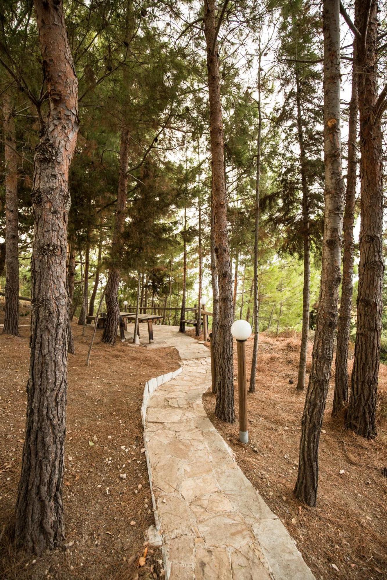 Kallithea Breeze Luxury Villa Koskinou (Rhodes)